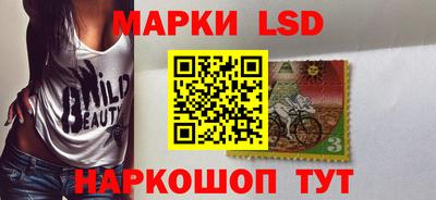 крисы Можга