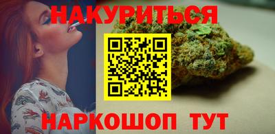 крисы Можга