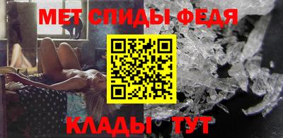 крисы Можга
