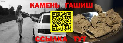 крисы Можга