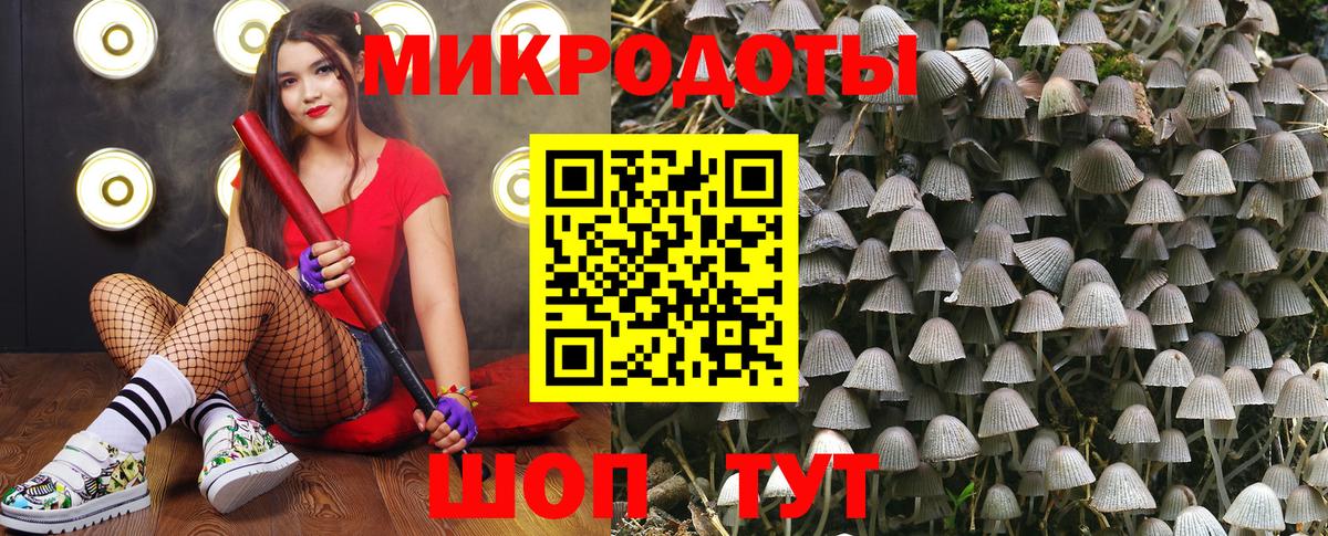 Сальск  Галлюциногенные грибы Cubensis  Вход с VPN 